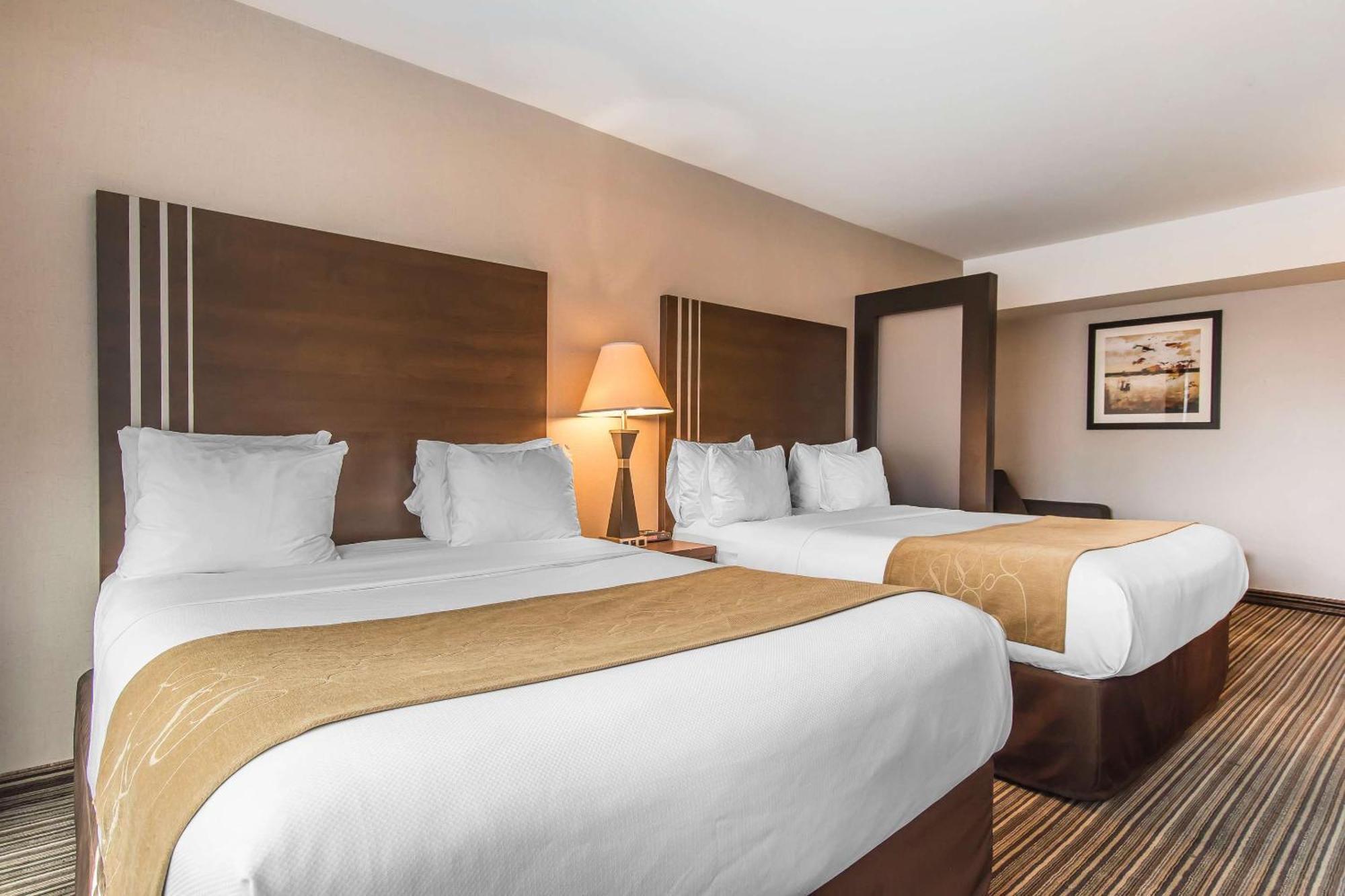 Comfort Suites Downtown Montréal Eksteriør bilde