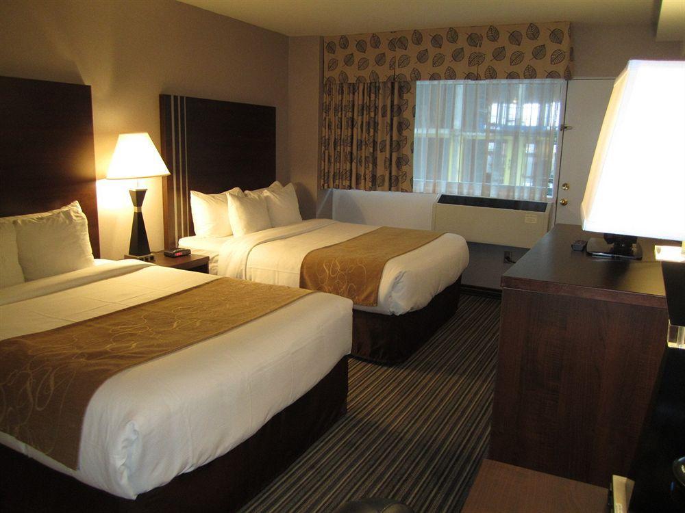 Comfort Suites Downtown Montréal Eksteriør bilde